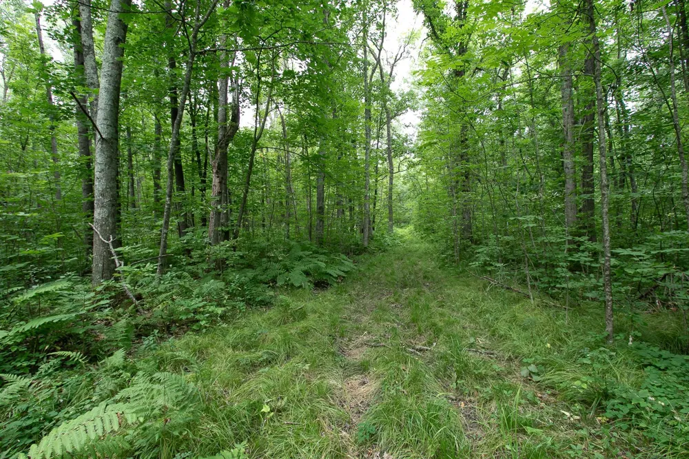 2195 270th Avenue Mora, MN 55051