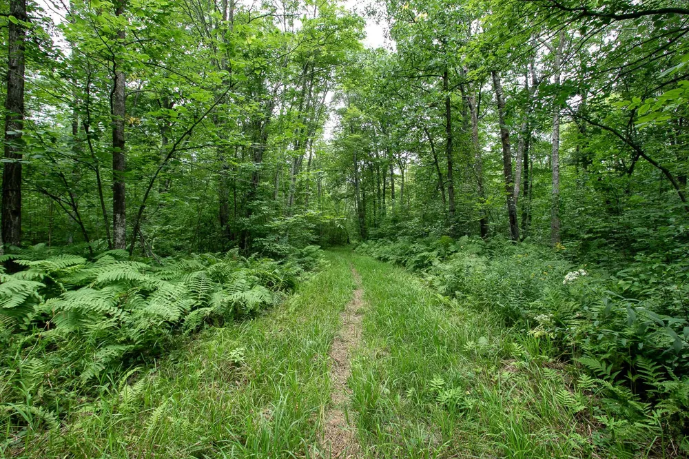 2195 270th Avenue Mora, MN 55051