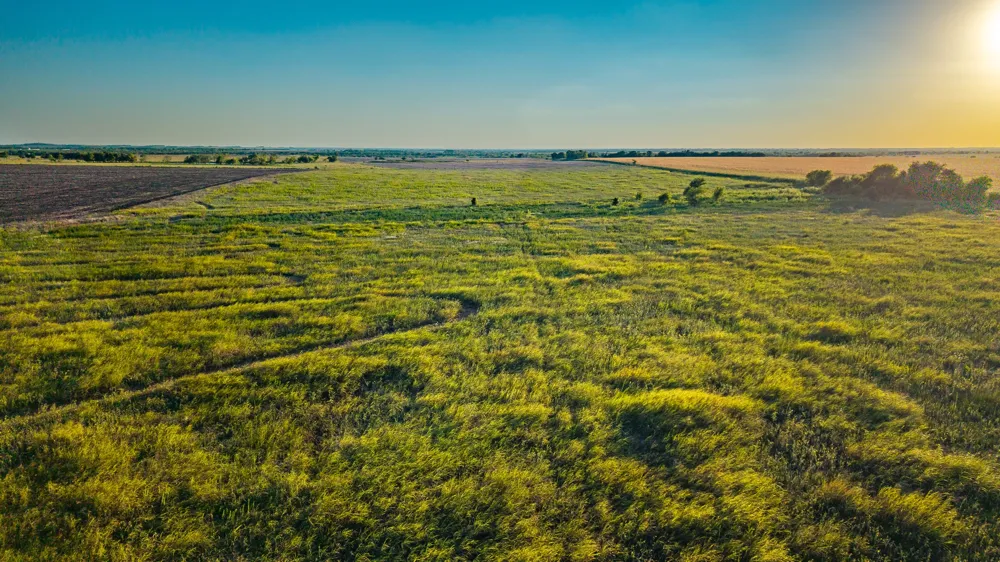 FM 984 Avalon, TX 76623