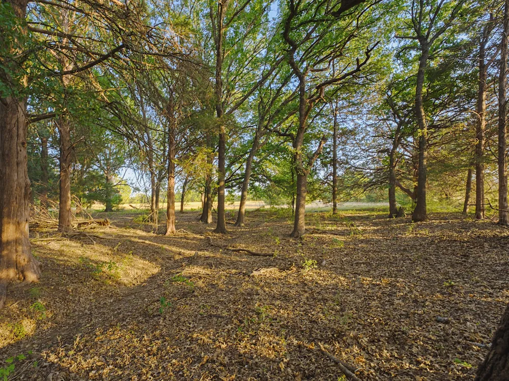 2403 County Road 2224 Decatur, TX 76234