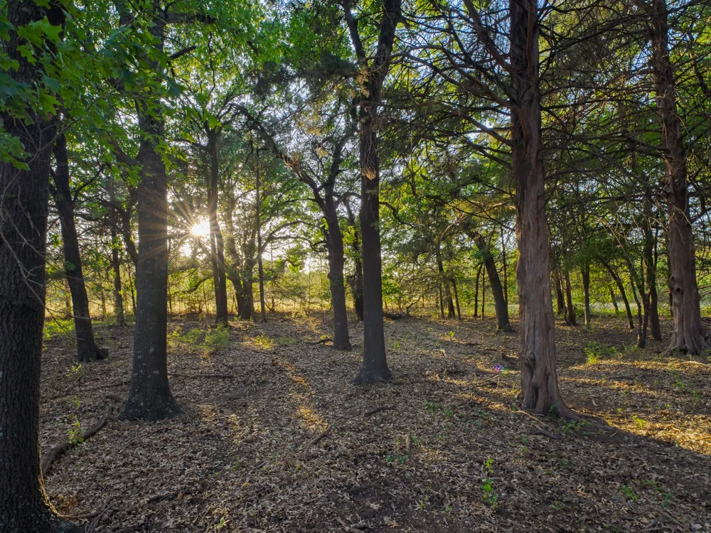 2403 County Road 2224 Decatur, TX 76234
