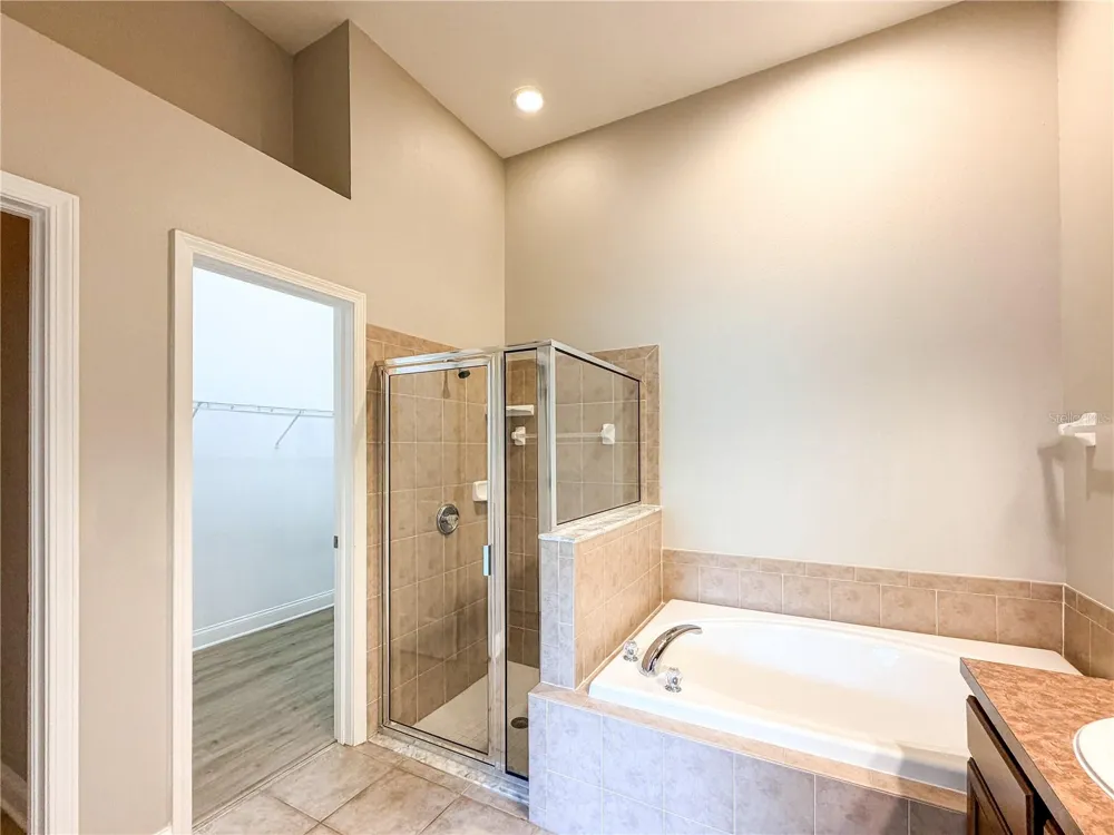 19408 EVERTON PLACE Land O Lakes, FL 34638