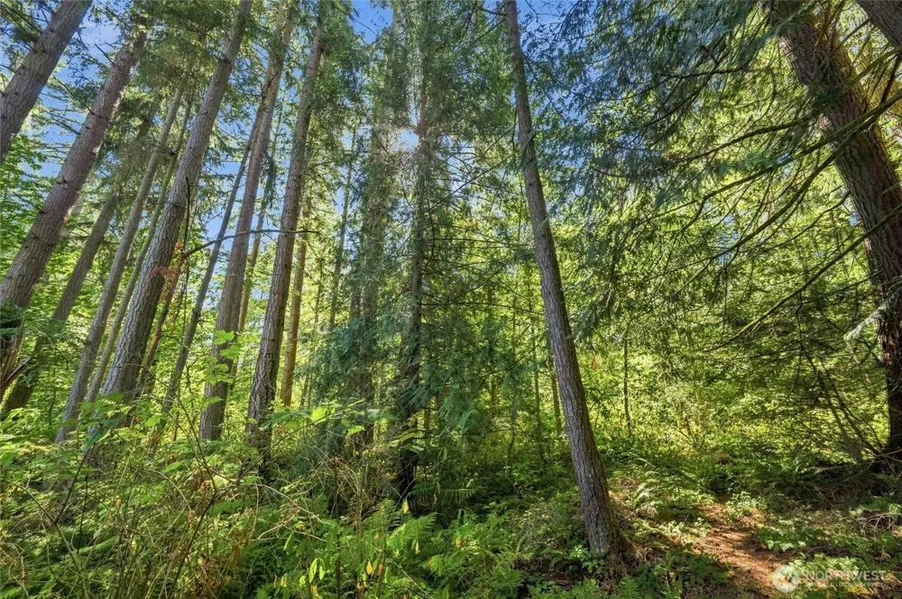 3807 E Smith Road Bellingham, WA 98226