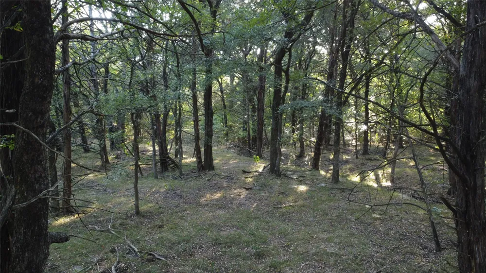 118 Dickey Road Sadler, TX 76264