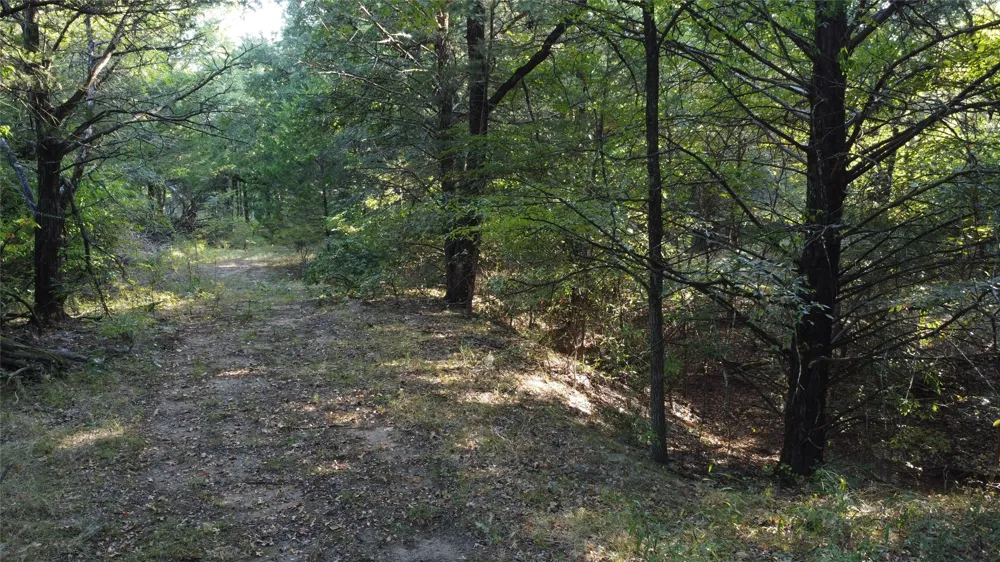 118 Dickey Road Sadler, TX 76264