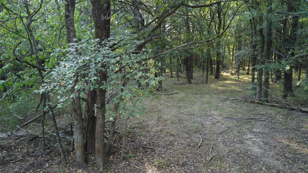 118 Dickey Road Sadler, TX 76264