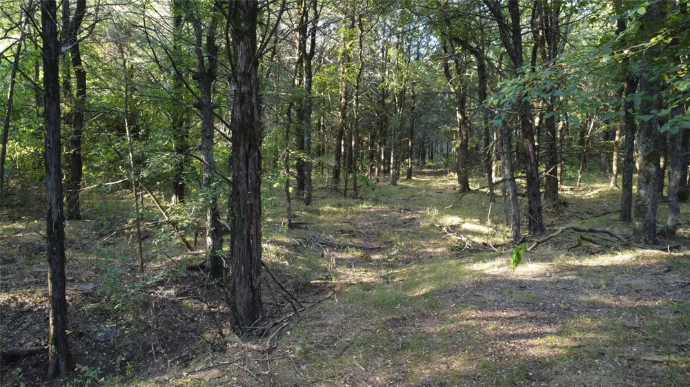 118 Dickey Road Sadler, TX 76264