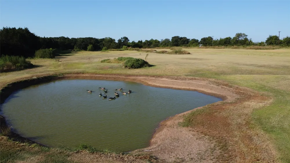 118 Dickey Road Sadler, TX 76264