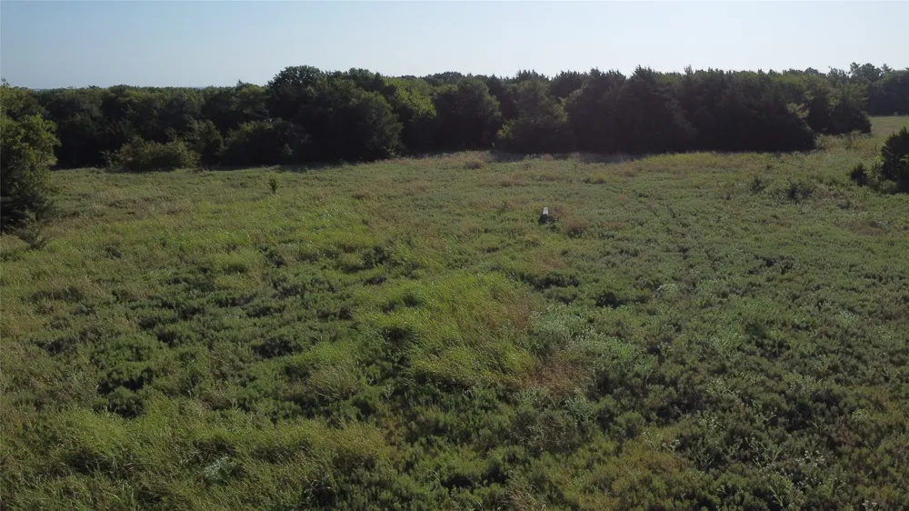 118 Dickey Road Sadler, TX 76264