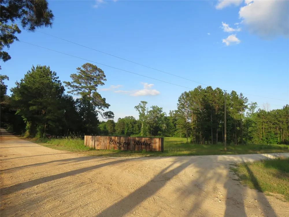 Canopy Ridge Trail Kennard, TX 75847