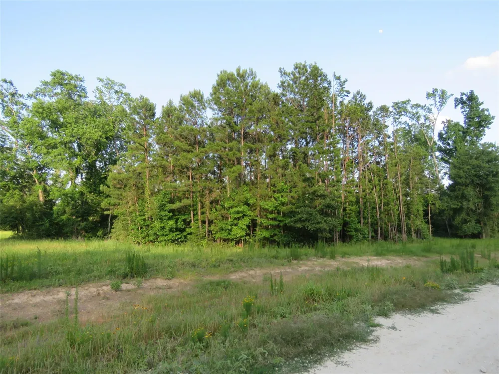 Canopy Ridge Trail Kennard, TX 75847