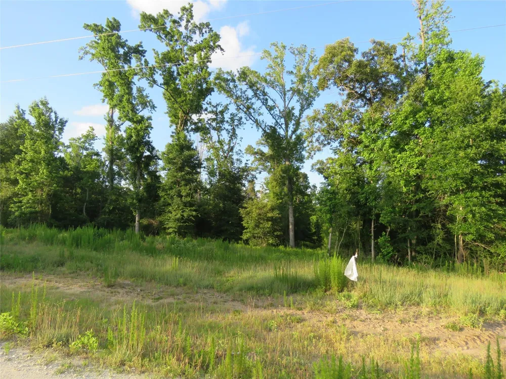 Canopy Ridge Trail Kennard, TX 75847