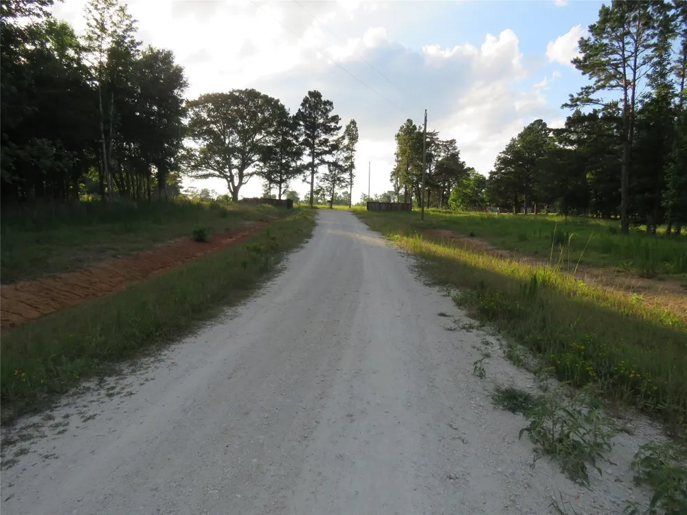 Canopy Ridge Trail Kennard, TX 75847