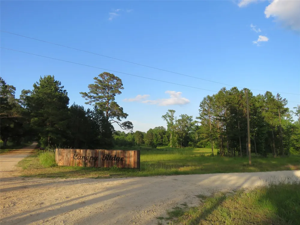 Canopy Ridge Trail Kennard, TX 75847
