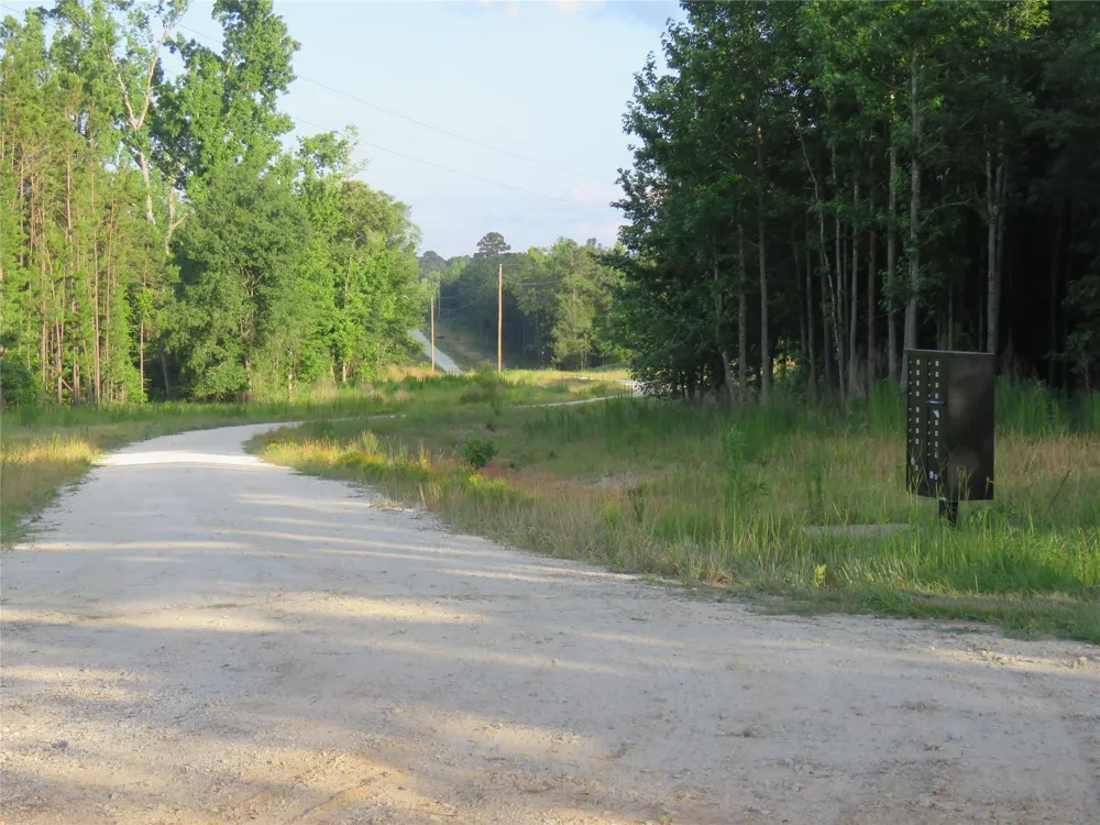 Canopy Ridge Trail Kennard, TX 75847