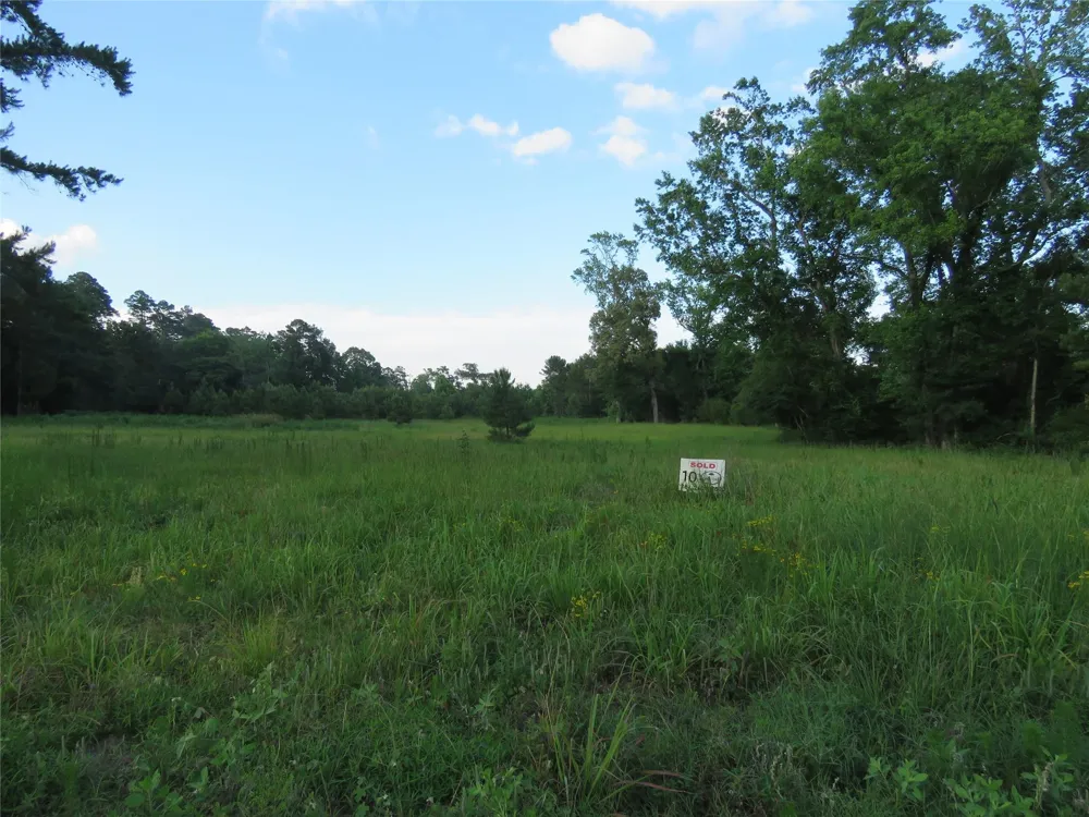 Canopy Ridge Trail Kennard, TX 75847