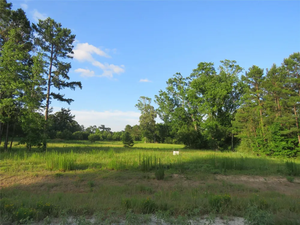 Canopy Ridge Trail Kennard, TX 75847