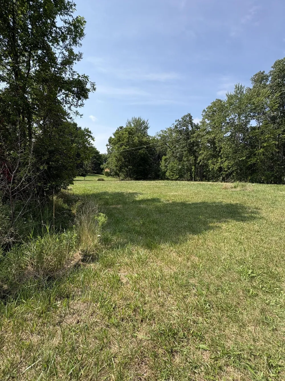 S Corey Road Williamston, MI 48895