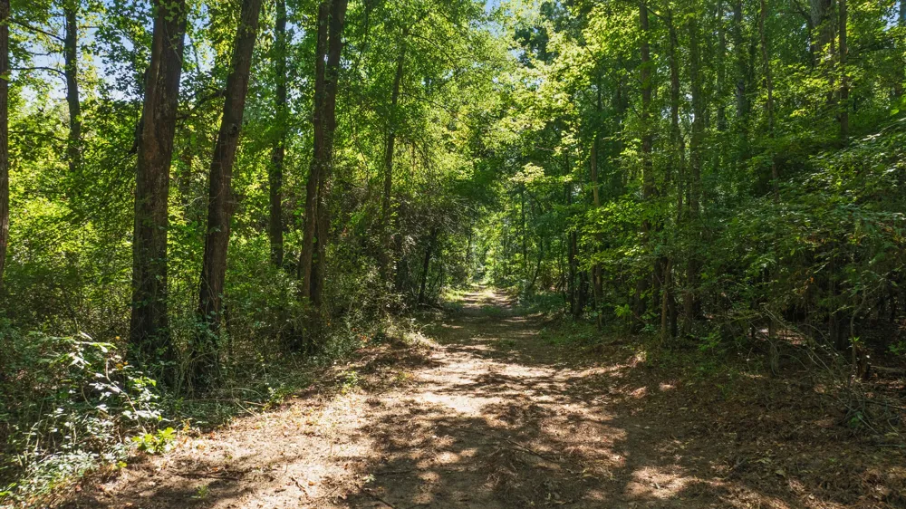 75 HWY 37 NORTH Clarksville, TX 75426