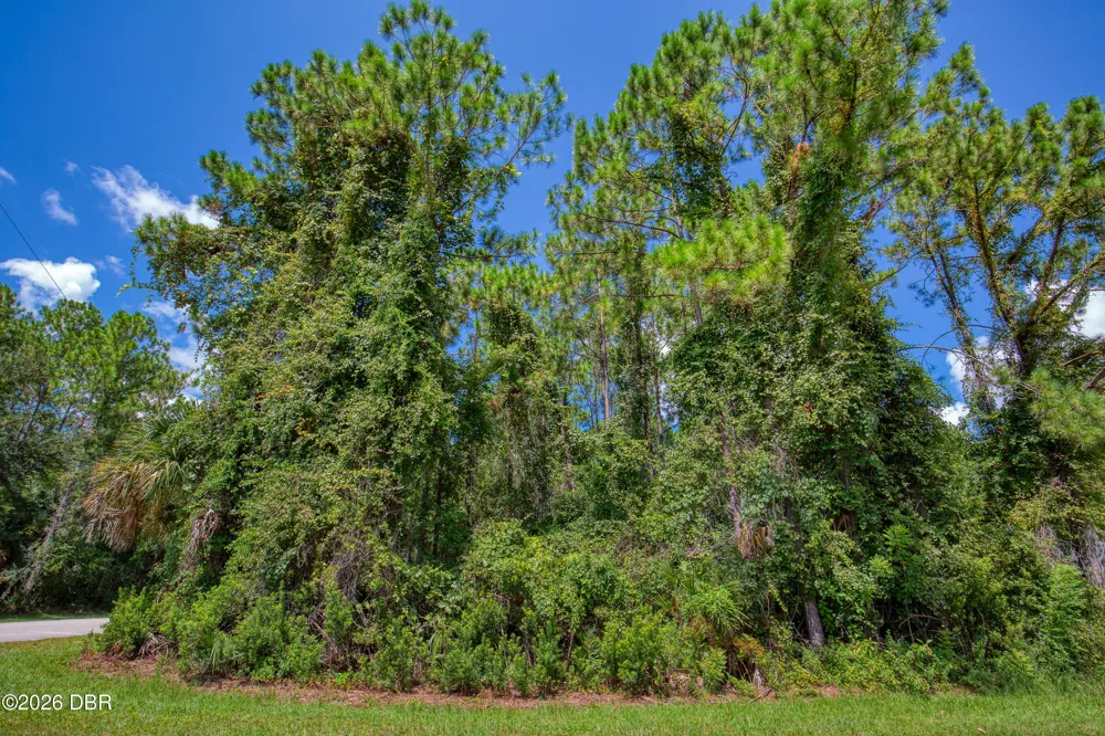 32 Uhl Path Palm Coast, FL 32164