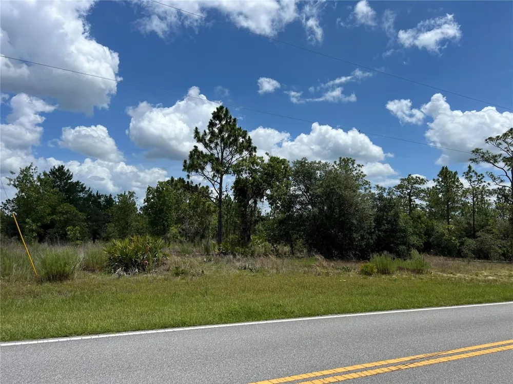 3323 W HAMPSHIRE BOULEVARD Citrus Springs, FL 34433