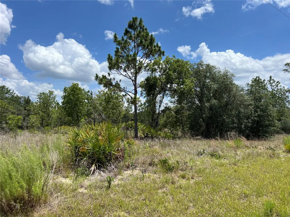 3323 W HAMPSHIRE BOULEVARD Citrus Springs, FL 34433