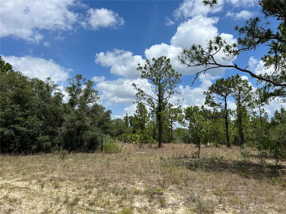 3323 W HAMPSHIRE BOULEVARD Citrus Springs, FL 34433