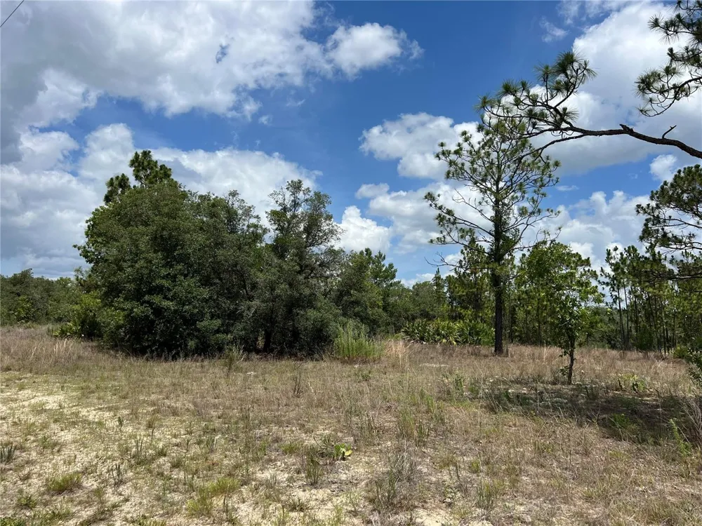 3323 W HAMPSHIRE BOULEVARD Citrus Springs, FL 34433