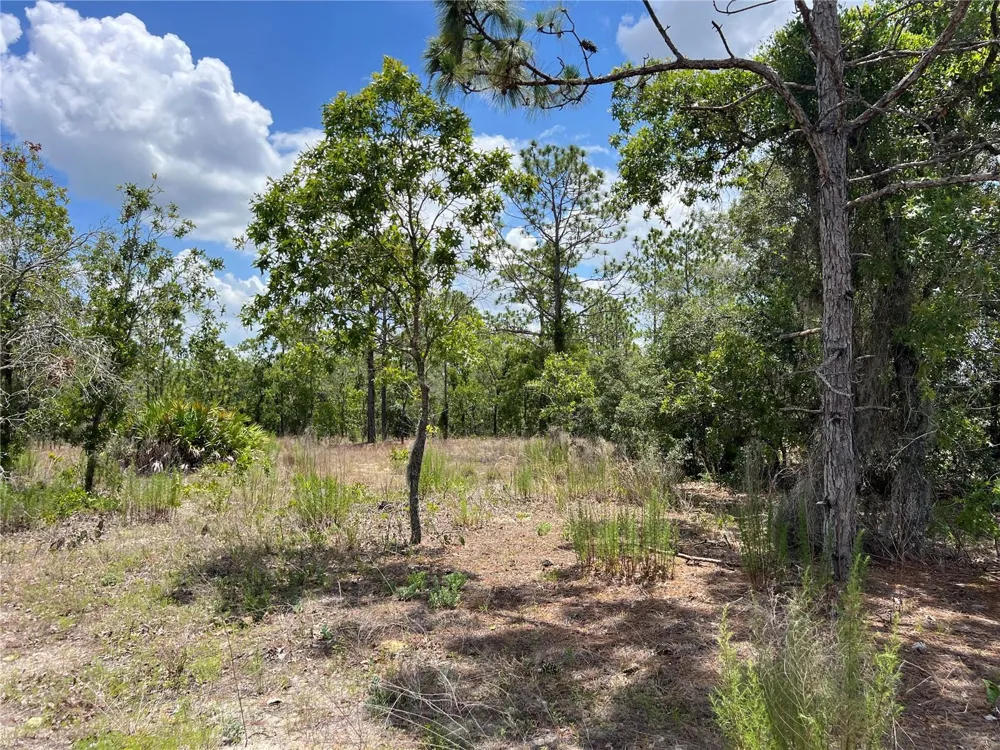 3323 W HAMPSHIRE BOULEVARD Citrus Springs, FL 34433