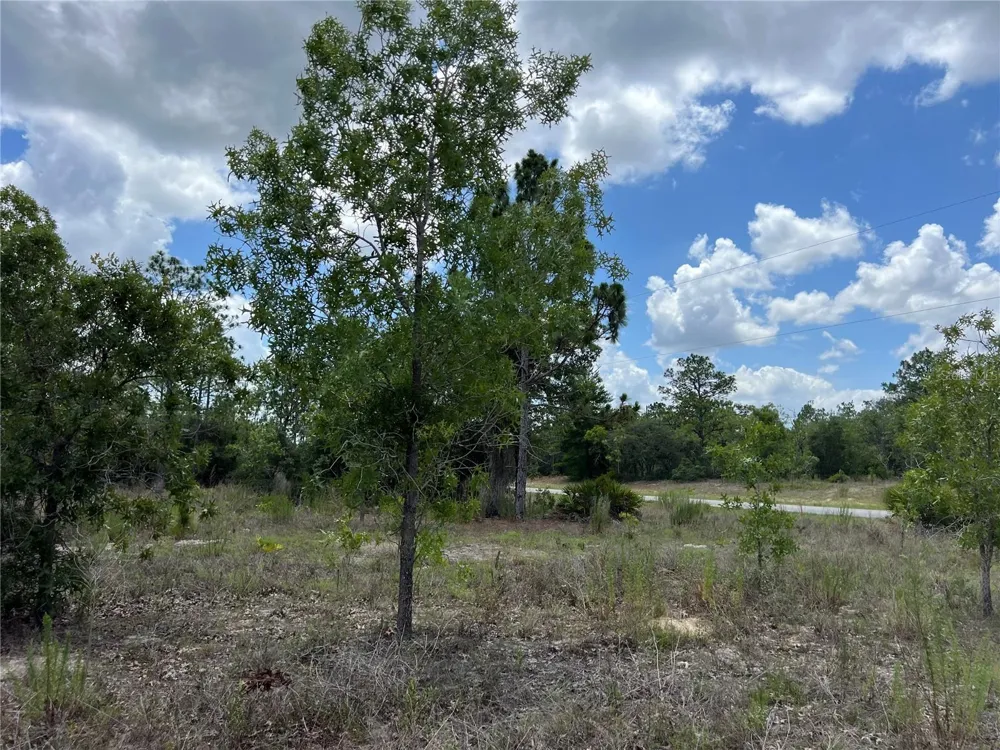 3323 W HAMPSHIRE BOULEVARD Citrus Springs, FL 34433