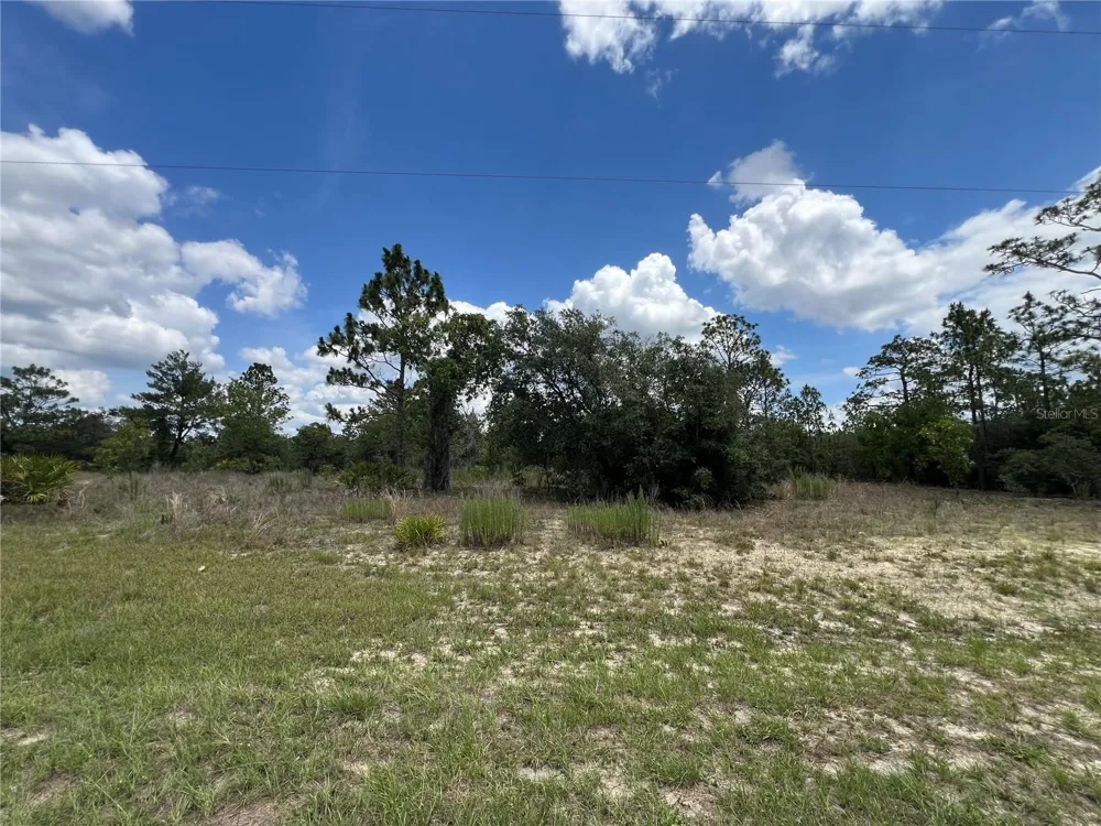 3323 W HAMPSHIRE BOULEVARD Citrus Springs, FL 34433