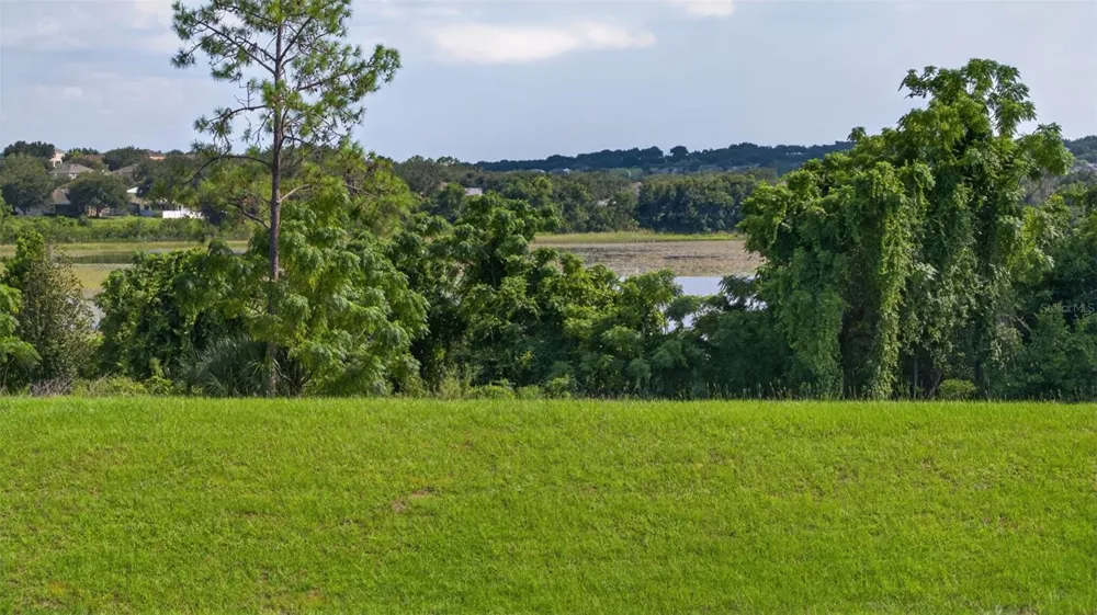 908 BRAEWOOD DRIVE Clermont, FL 34715