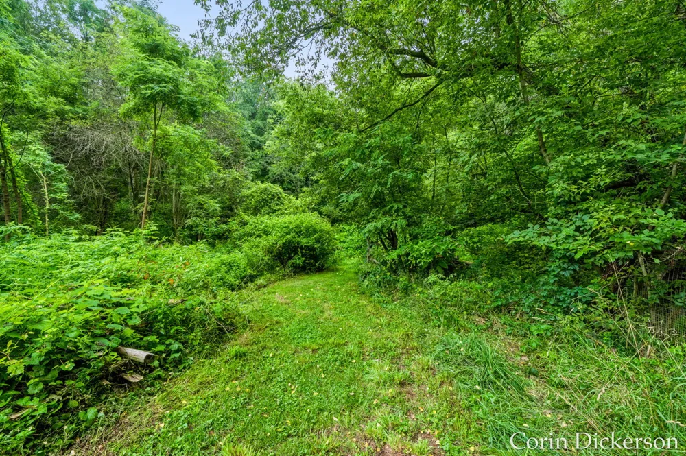 13790 Hutchinson Road Johnstown Township, MI 49050
