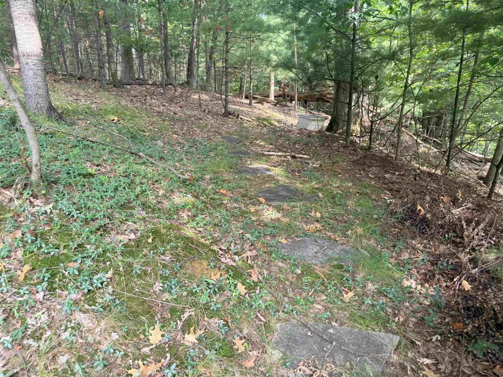 3419 Timberwood Drive Acme Township, MI 49686