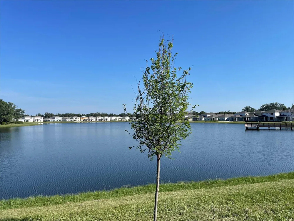 1260 REGAL KING DRIVE Kissimmee, FL 34746