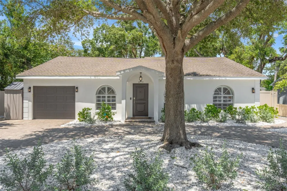 3819 W SAN MIGUEL STREET Tampa, FL 33629