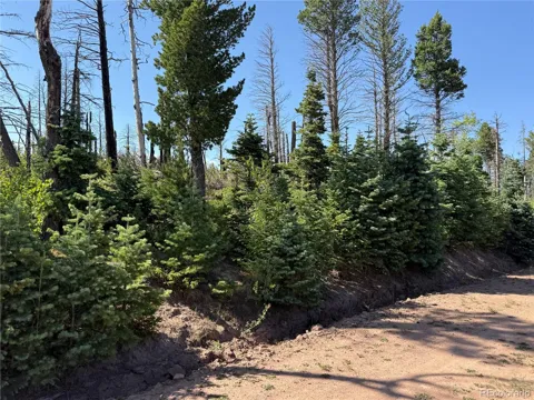 Lot 2498 Gilmartin Lane