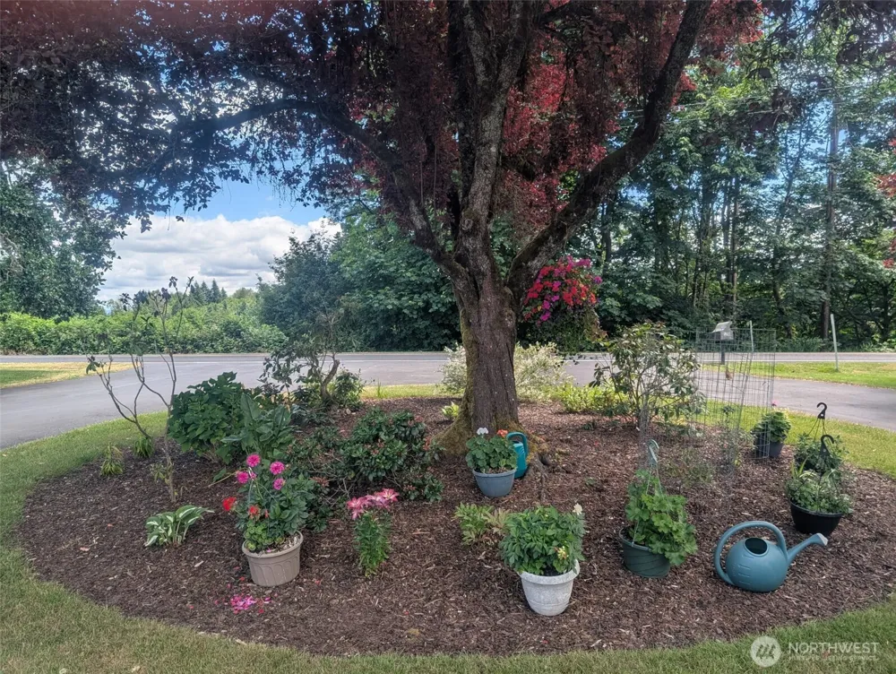 570 Drews Prairie Road Winlock, WA 98596