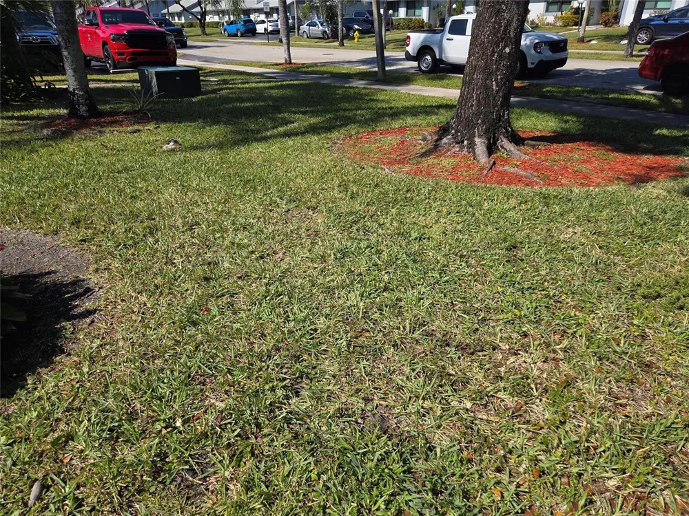 6014 NW 3rd Street Margate, FL 33063