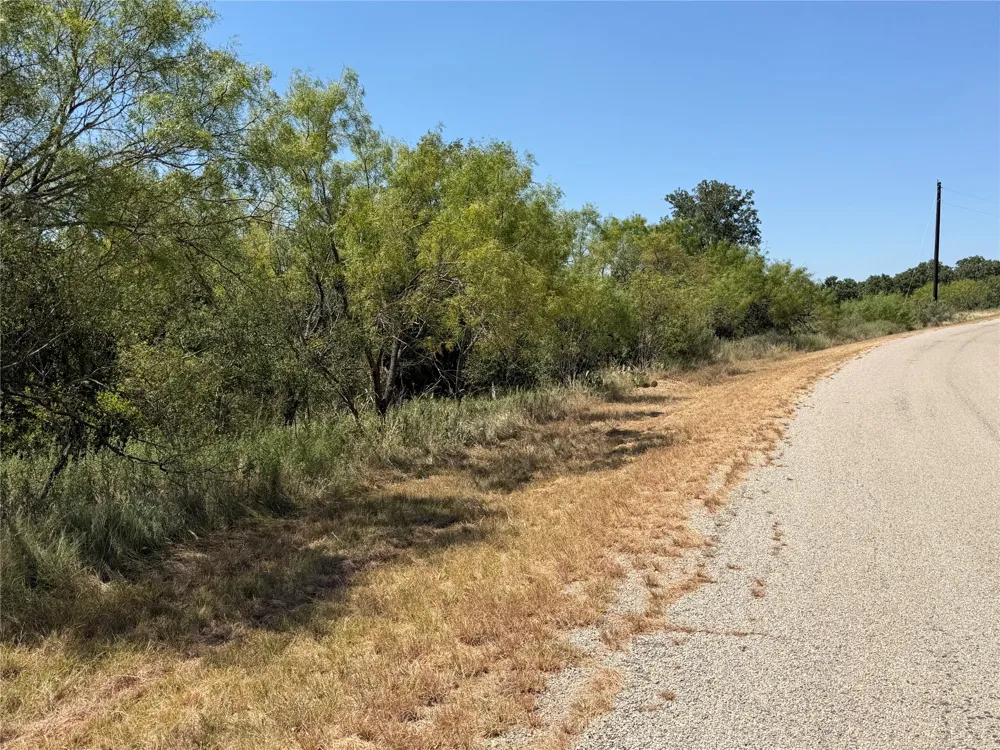 28 County Road 417 May, TX 76857
