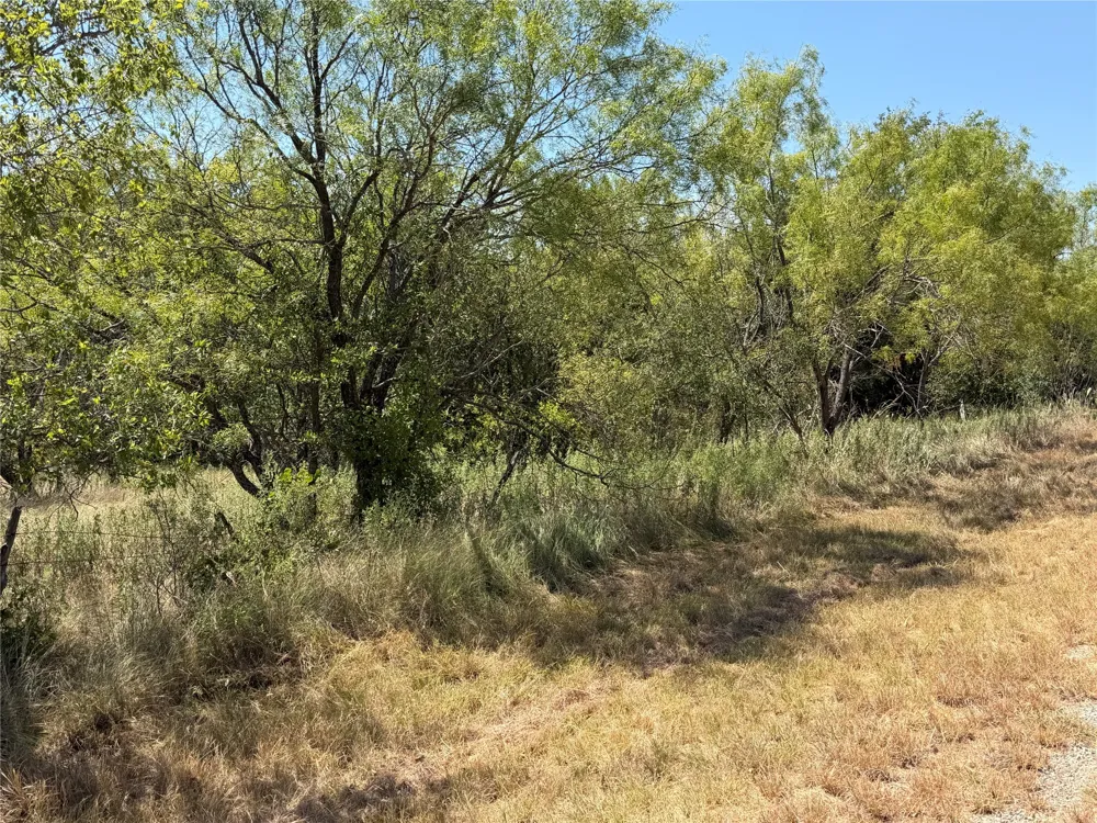 28 County Road 417 May, TX 76857
