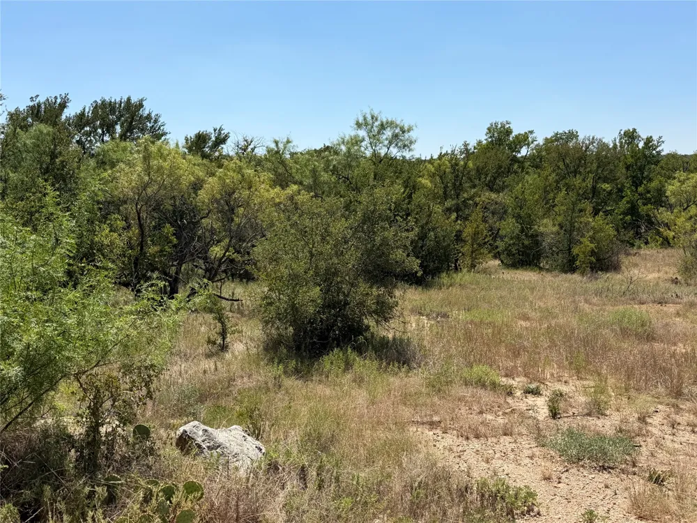 28 County Road 417 May, TX 76857