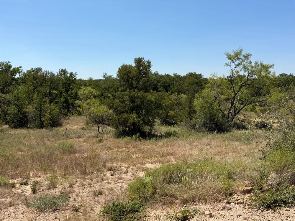 28 County Road 417 May, TX 76857