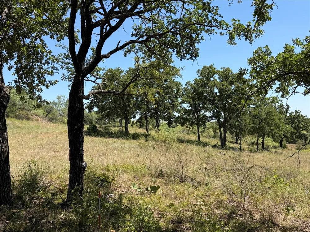 28 County Road 417 May, TX 76857