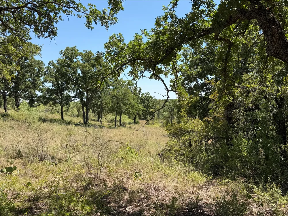 28 County Road 417 May, TX 76857