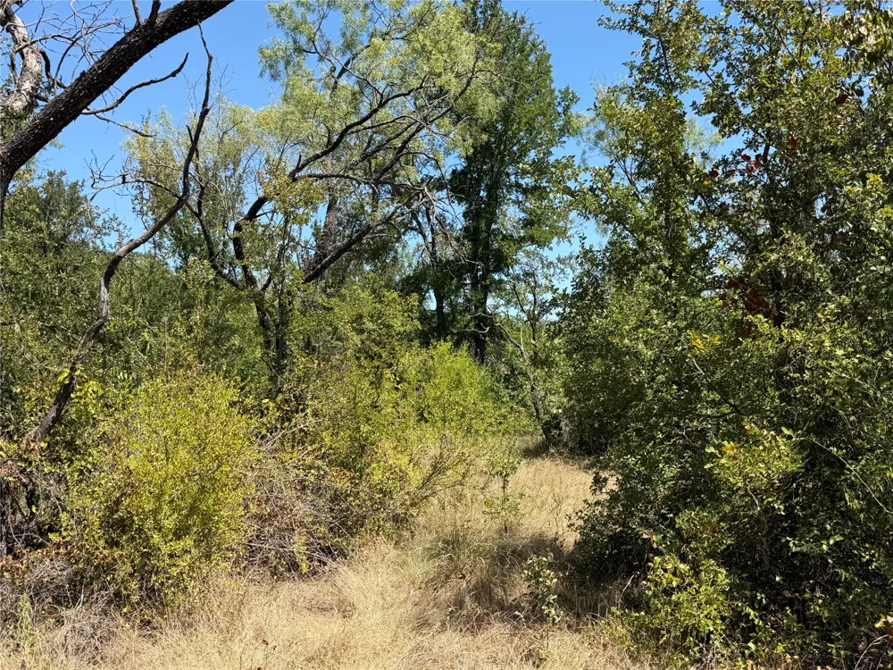 28 County Road 417 May, TX 76857