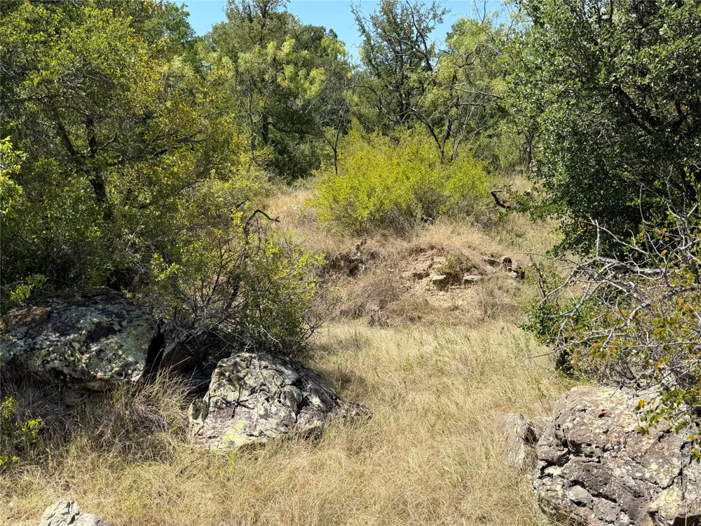 28 County Road 417 May, TX 76857