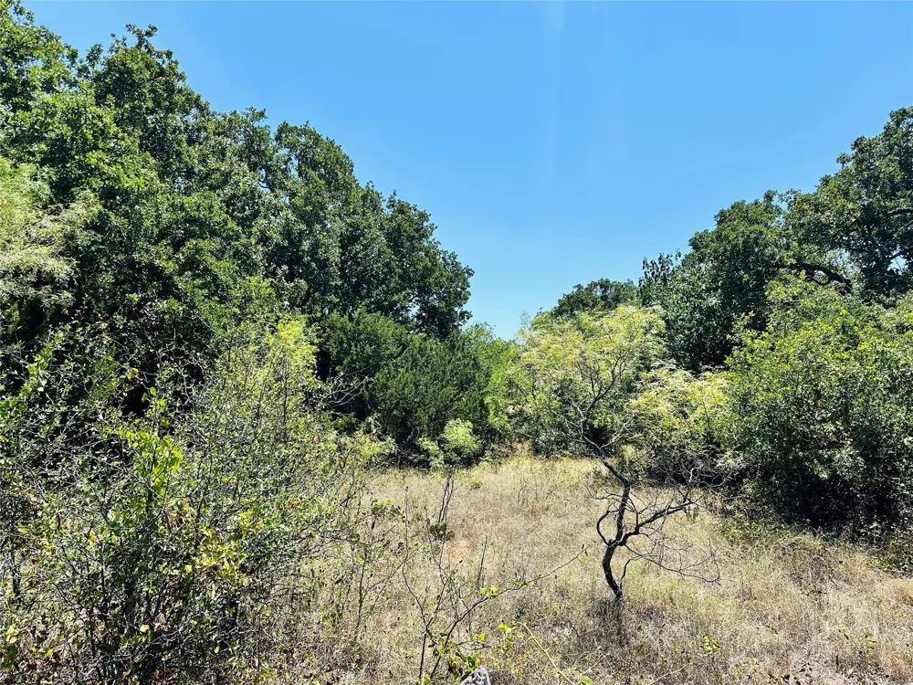 1020 Pleasant Valley Road May, TX 76857