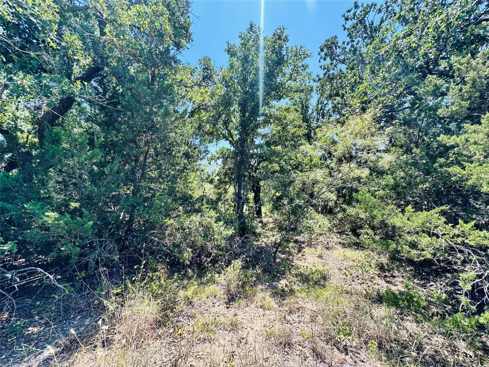 1020 Pleasant Valley Road May, TX 76857