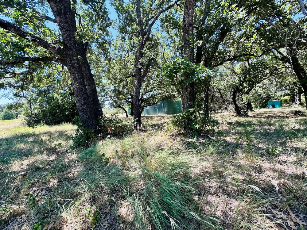 1020 Pleasant Valley Road May, TX 76857